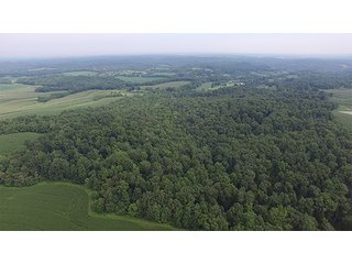 Property photo 11 - LAND AUCTION - 524+/- ACRES OFFERED IN 16 TRACTS IN MEIGS COUNTY, OHIO